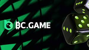 Experience the Thrill Play Poker on BC Game